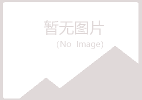 伊春红星忆山建设有限公司